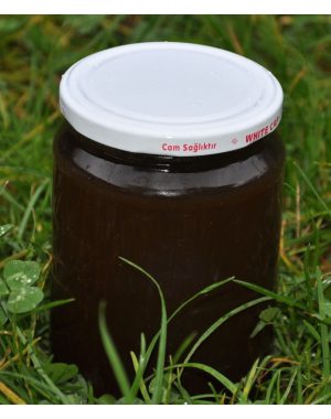 KAZDAĞLARI KESTANE ÇAM BALI 850 GR