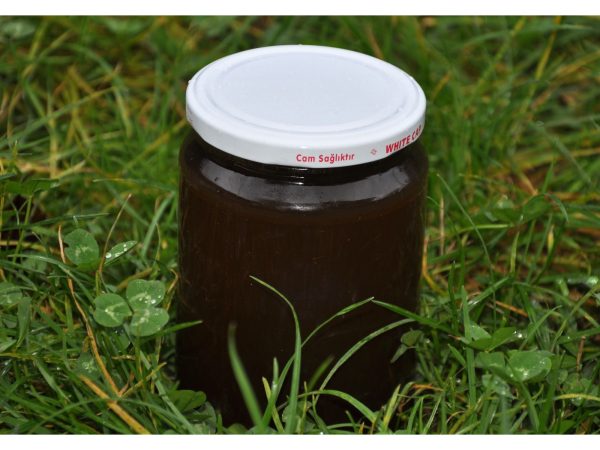 KAZDAĞLARI KESTANE ÇAM BALI 850 GR