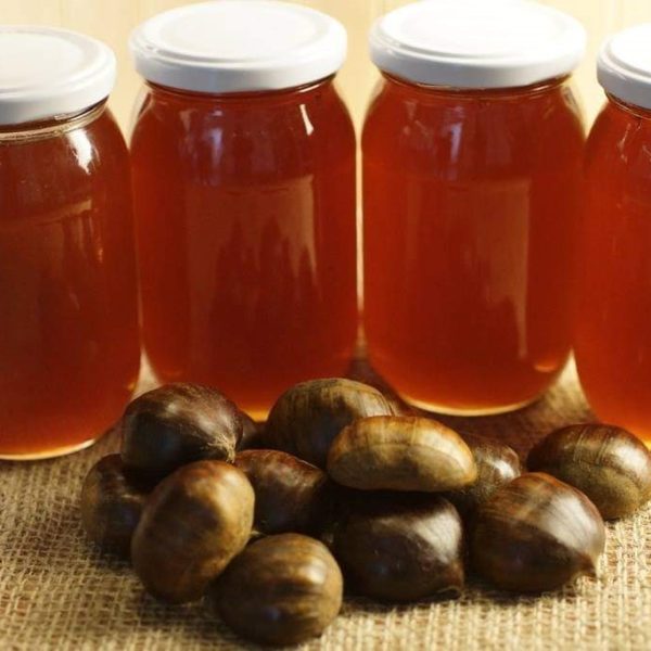 KAZDAĞLARI KESTANE BALI 850 GR