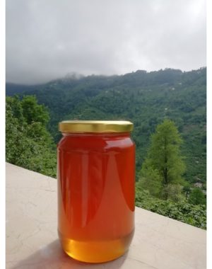 TOKAT SÜZME ÇİÇEK BALI 850 GR