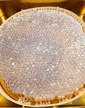 BİNGÖL KARAKOVAN PETEK BAL 1 KG